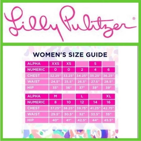 🌟 Rare 🌟 Lilly Pulitzer Women’s Dress🌟 HG 🌟